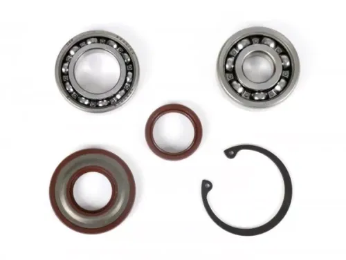 lager  en keerringset voor krukas ombouw naar ets  BGM pro  vespa v50, pv125, et3, pk50, pk80, pk125   1x 6303 + 1x 6005 c3