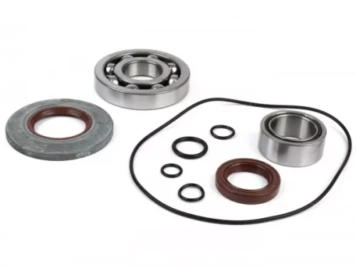 lager  en oliekeerringset voor krukas  BGM original  vespa px   metaaltype   incl. o ringen