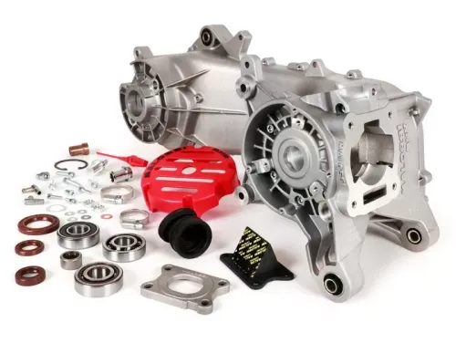 Malossi RC-one Piaggio Lang