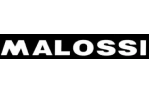 Malossi Sticker woord wit groot