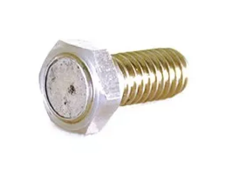Magneetschroef Voor Remschijf Koso (M6x1.0x24mm)