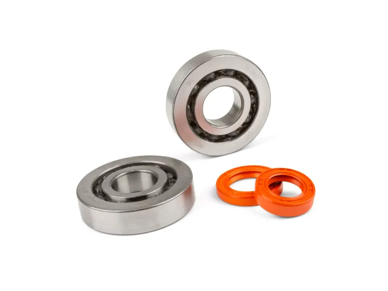 Krukaslagers en keerringen Stage 6 R/T C4 Peugeot E1 - Metalen Kooi