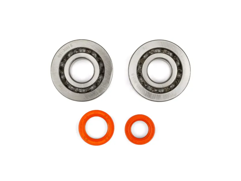 Krukaslagers en keerringen Stage 6 R/T C4 Peugeot E1 - Metalen Kooi