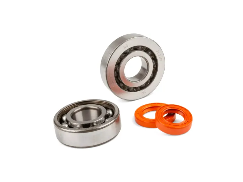 Krukaslagers en keerringen Stage 6 R/T C4 Peugeot E2 >2004 - Metalen Kooi