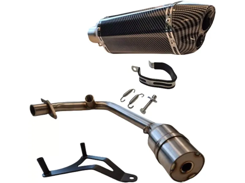 Sport uitlaat Carbon look - Piaggio Zip/Vespa 4T e4 iGet