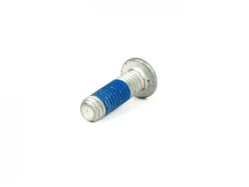Inbusbout Platte Kop Iso 7380 m6x20mm Gebruikt Voor Remschijf Piaggio Gilera
