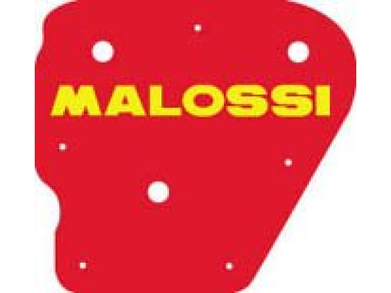 Luchtfilterelement - Malossi - Minarelli Horizontaal