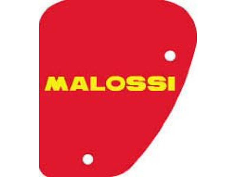 Luchtfilterelement - Malossi - Peugeot Scooters