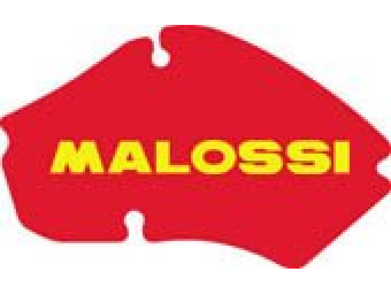 Luchtfilterelement - Malossi - Puch Zip FAST RIDER