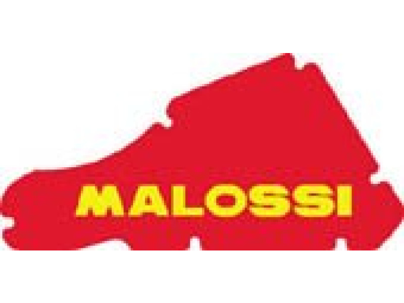 Luchtfilterelement - Malossi - Typhoon / NRG