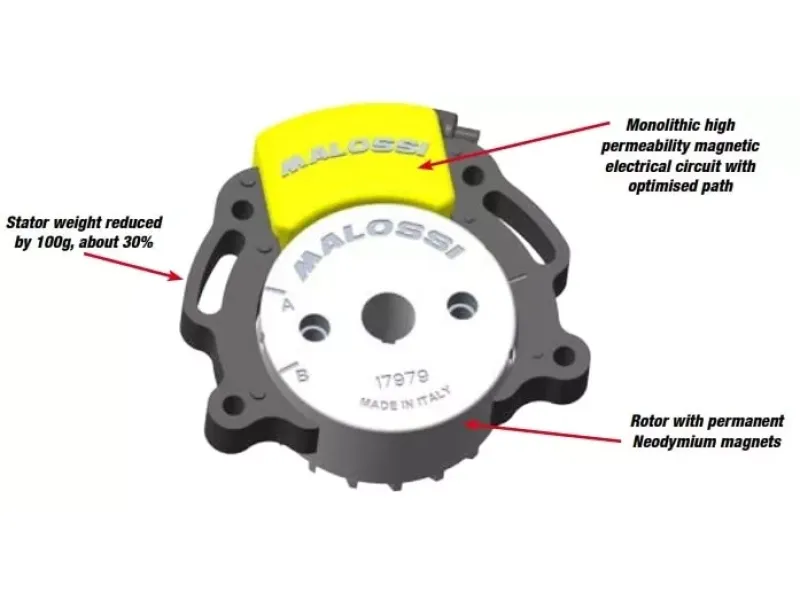 Malossi MHR Team 2 Binnenrotor Piaggio (nieuwe versie)