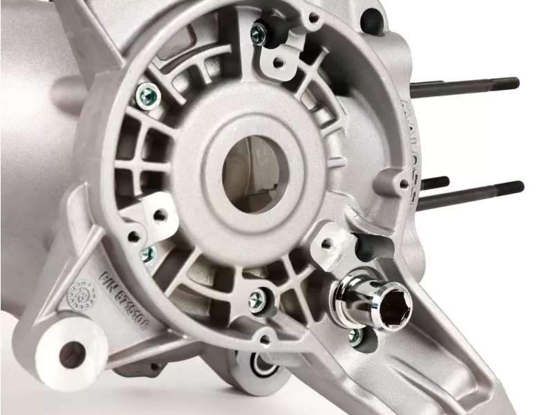 Malossi C-one carter Piaggio lang
