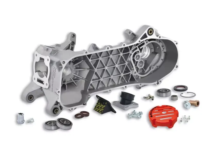Malossi C-one carter Piaggio lang