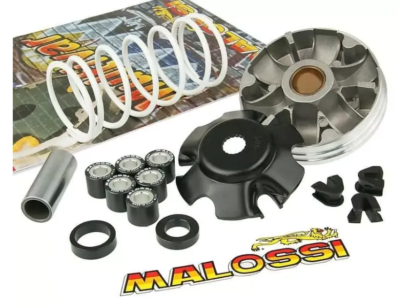 Malossi Vario Piaggio 2T (o.a. Zip en Runner) vanaf 1998