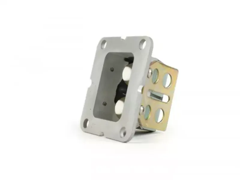 membraan  BGM pro  rd350 type (aangepast voor lambretta ts1)   gvk bloemblaadjes