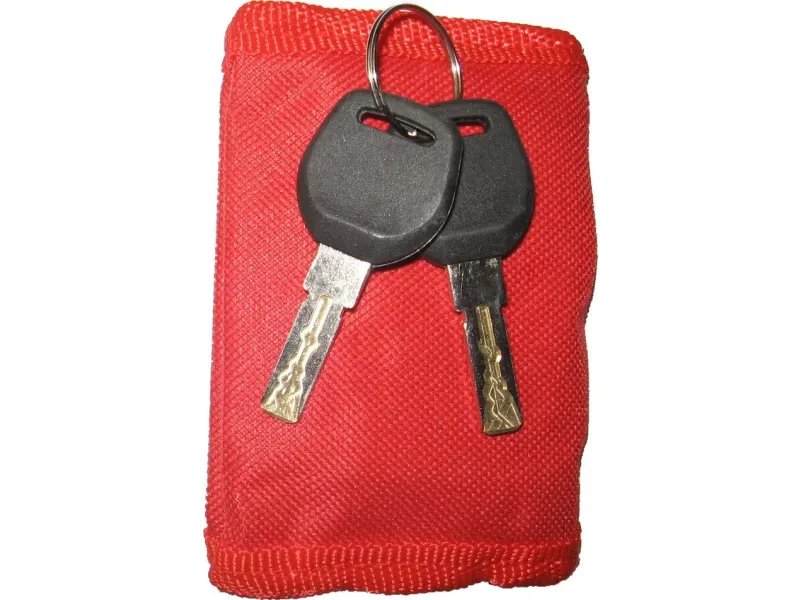 Schijfremslot Scooter - Chroom (met alarm)