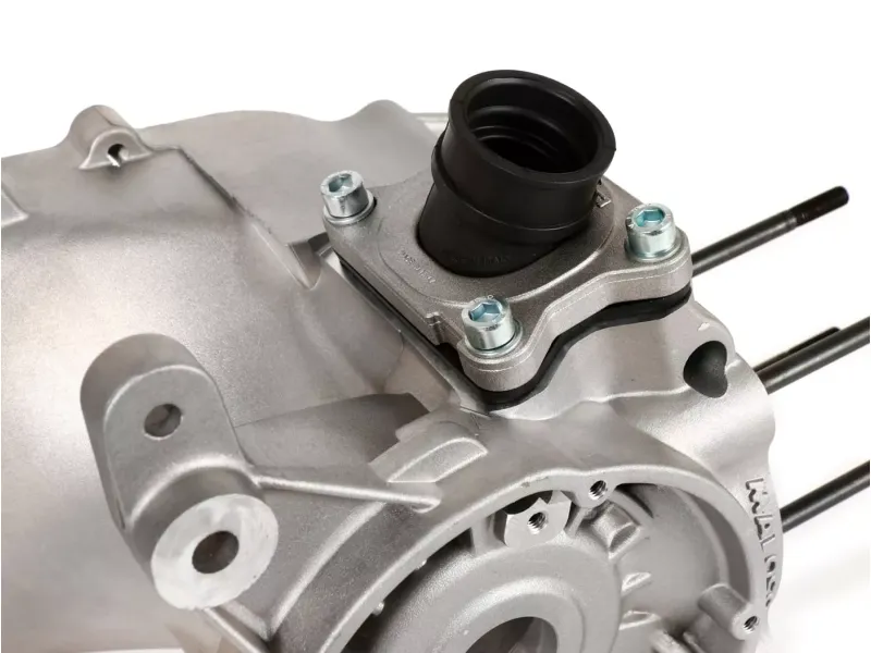 Malossi C-one carter Piaggio lang