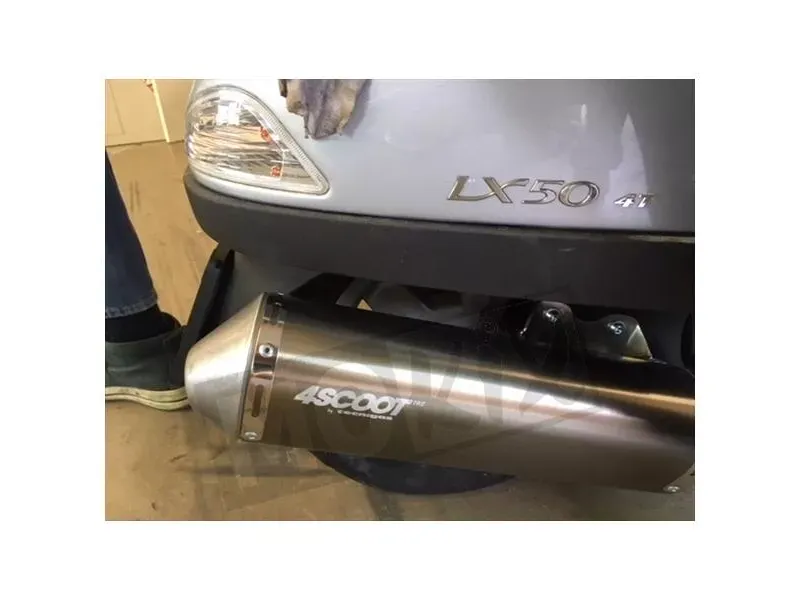 Tecnigas 4Scoot RVS uitlaat Piaggio Zip en Fly 4T 2v