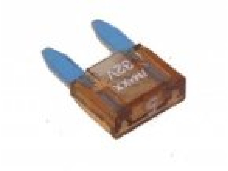 Zekering - Type : Steek - Mini - 5 Amp