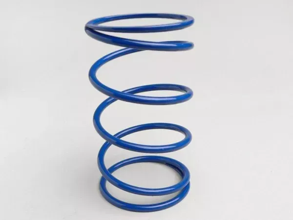 Contrastveer Polini Piaggio 125 180cc 2 takt 125 200cc Leader 250cc Quasar