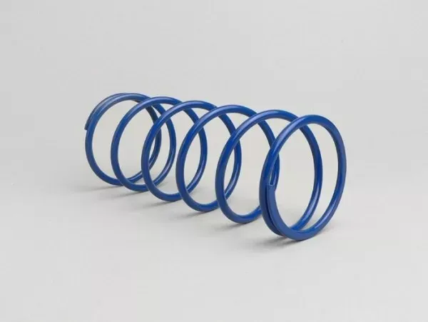 contrastveer polini piaggio 125 180cc 2 takt