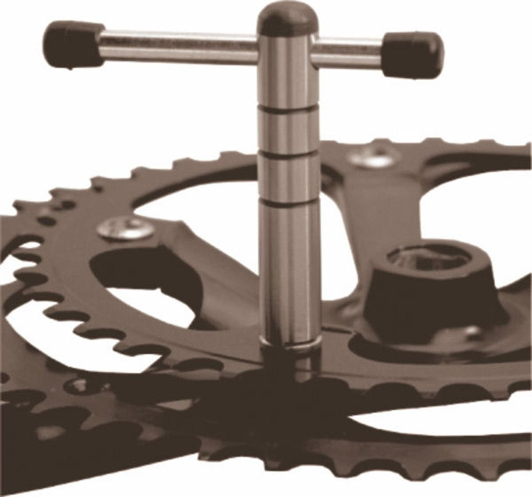 Cyclus Bladbout Sleutel