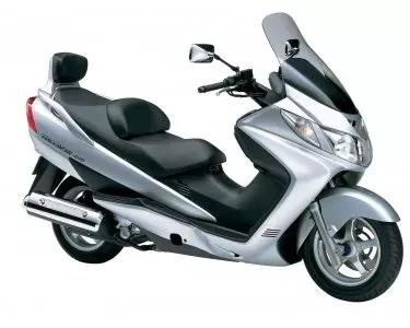 Kappenset Suzuki Burgmann Zilver Metallic