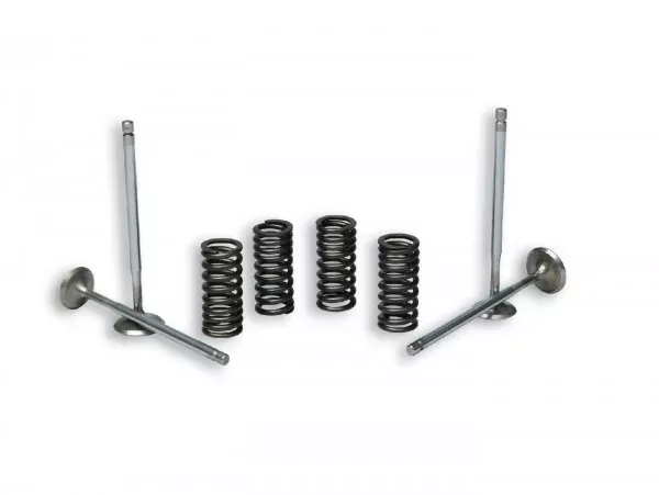 Kleppen + Klepveren Malossi Piaggio Leader 125-200 Cc Lc, Quasar 250 Cc