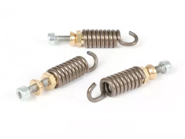 Koppelingsveren Set Polini Voor Race 3g Ø2,2mm