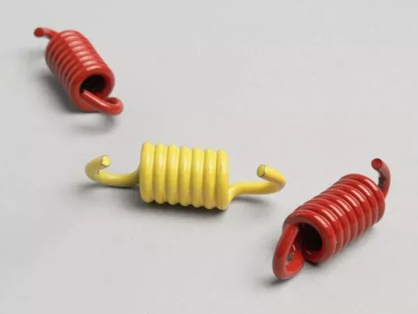 Koppelingsveren Set Malossi Rotax 125 150, Piaggio 125-200cc Leader