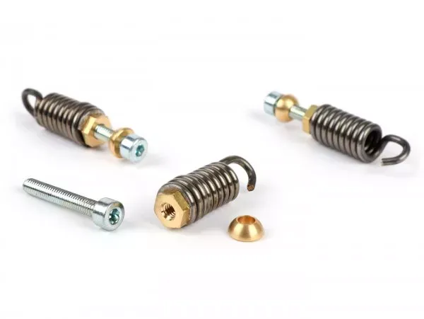 Koppelingsveren Set Polini Voor Race 3g, Ø2.0mm Piaggio 300 Ccm Quasar Hpe, Piaggio 500 Ccm Master