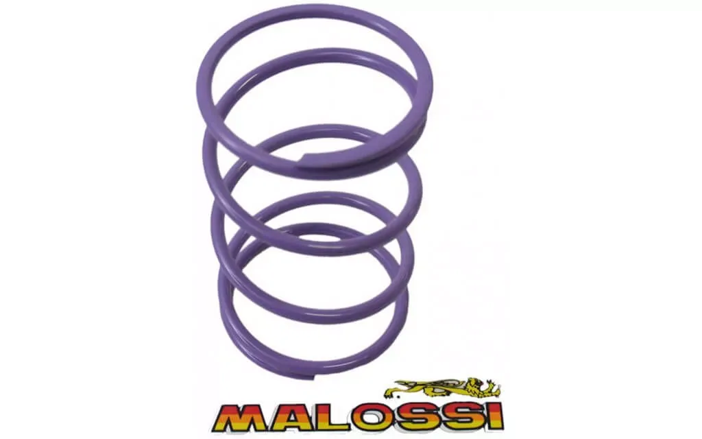 Malossi druvkeer paars piaggio