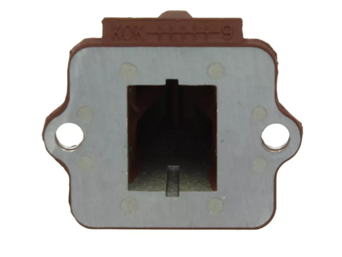 membraan piaggio piaggio 50 180cc  koolstofvezel gfk bloemblaadjes