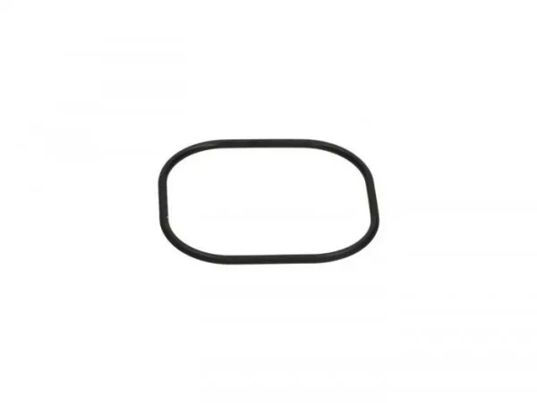 Pak Voor Klepdekselventilatie Piaggio Vespa Gt 250 (Zapm45102)