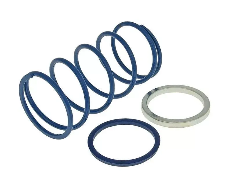 Polini drukveer 34 kg / 3.8 - Evo Slider (Minarelli)