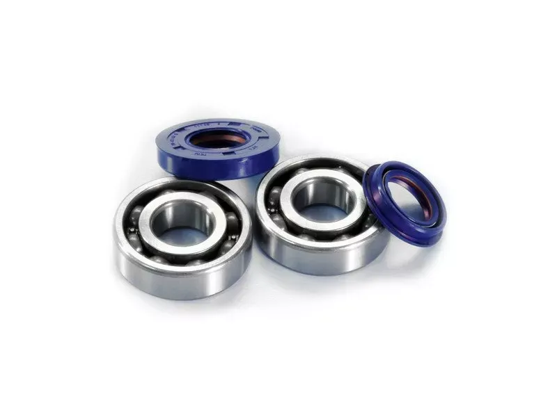 Lagerset Polini Evolution Piaggio