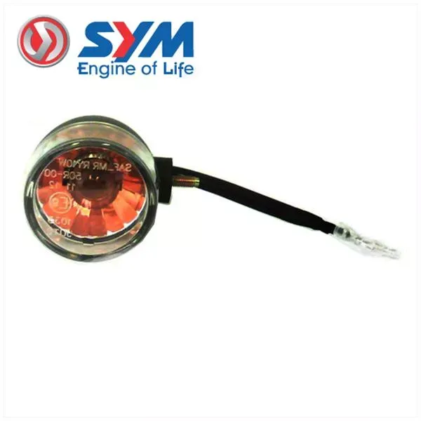 RAW Sym Mio - Links Achter