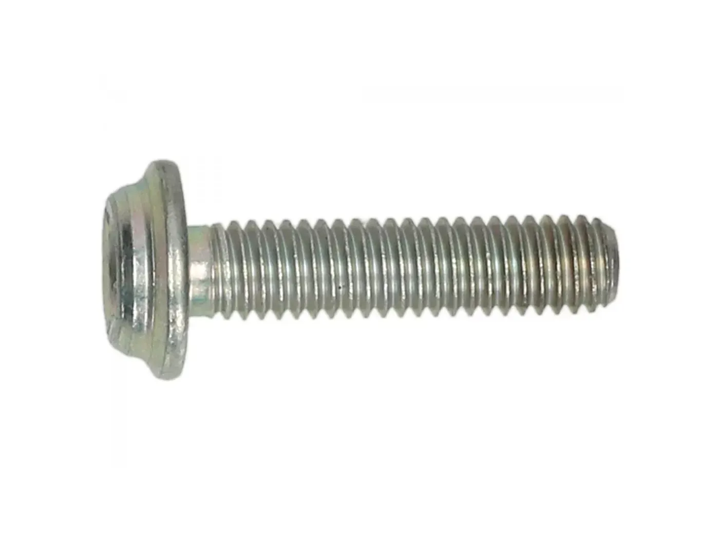 Schroef Piaggio  m6 Afscheurbaar  Anti Manipulatie)