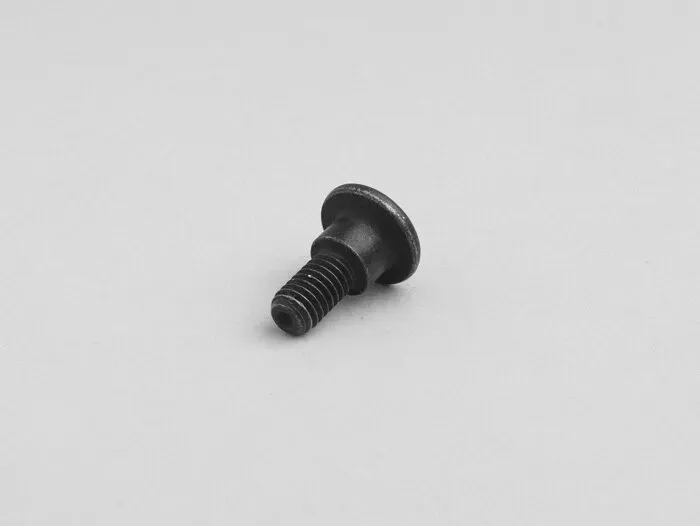 Schroef Lichaamsdelen M6 x 20mm Met Trap Piaggio Kruiskop