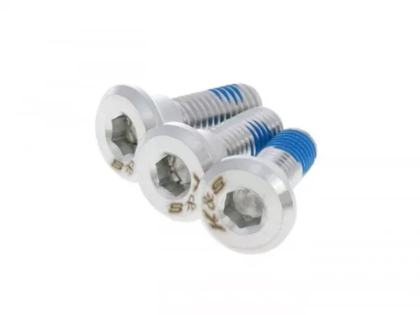 Schroef Platkop Universeel Voor Remschijven M8 X 24 18  3 Stuks