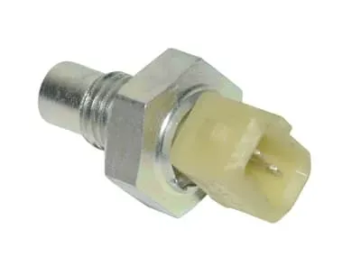 Temperatuursensor Piaggio Purejet (injectie)