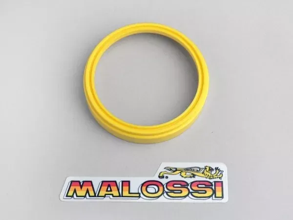 Torsiecontrole Malossi Piaggio 125 180 Cc 2 Takt Piaggio 125 200 Cc Leader Piaggio 250 Cc Quasar