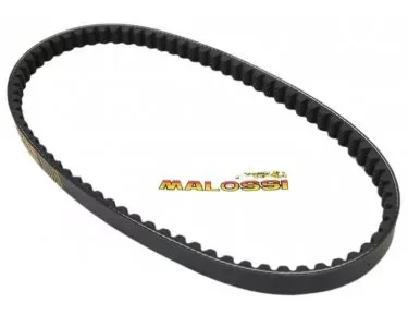 V-Snaar Peugeot Speedfight - Malossi