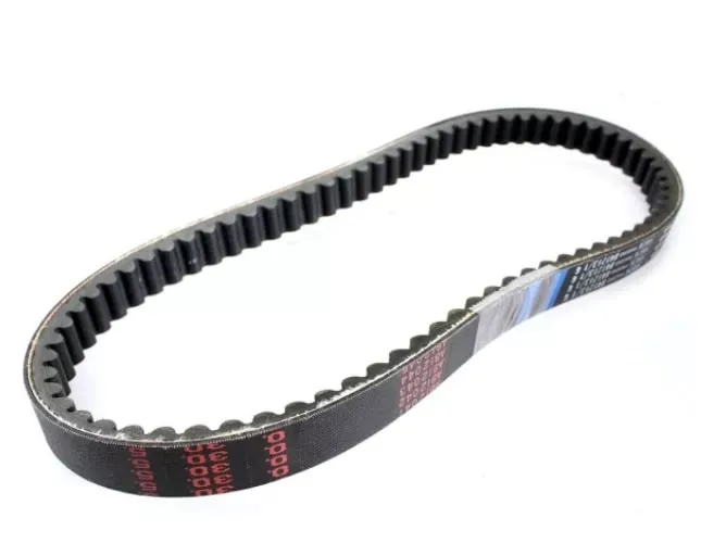 V-Snaar China GY6 - 669x18x30 - 10 inch  (verbeterde kwaliteit)