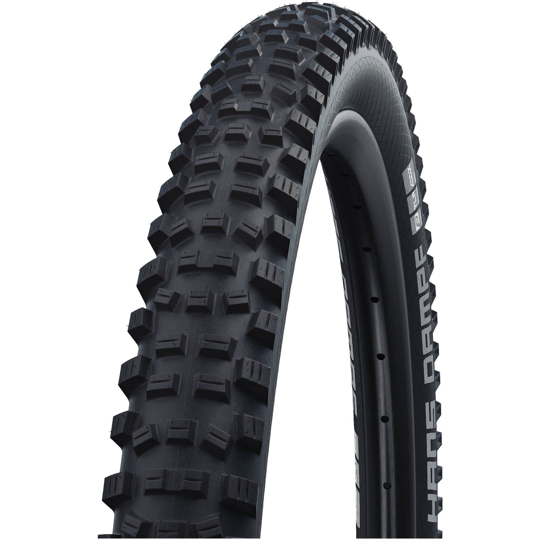 Vouwband Schwalbe Hans Dampf Performance 26 x 2.35- 60-559 mm Zwart