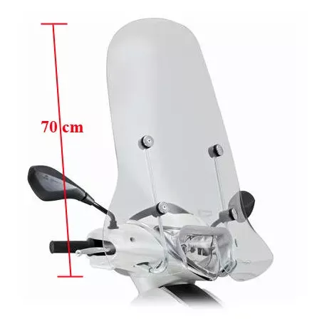 Windscherm Piaggio New Fly - Origineel Piaggio 675070