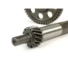 Primaire Versnellingen Polini Vespa GTS 125 ie, Vespa GTS 250 ie