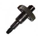 Achteras Gilera Runner DD, Stalker