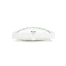 Achterlichtframe MOTO NOSTRA Wit (544) Vespa GTS 125