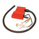 Bobine - TP - Variabel - Malaguti - Phantom F12